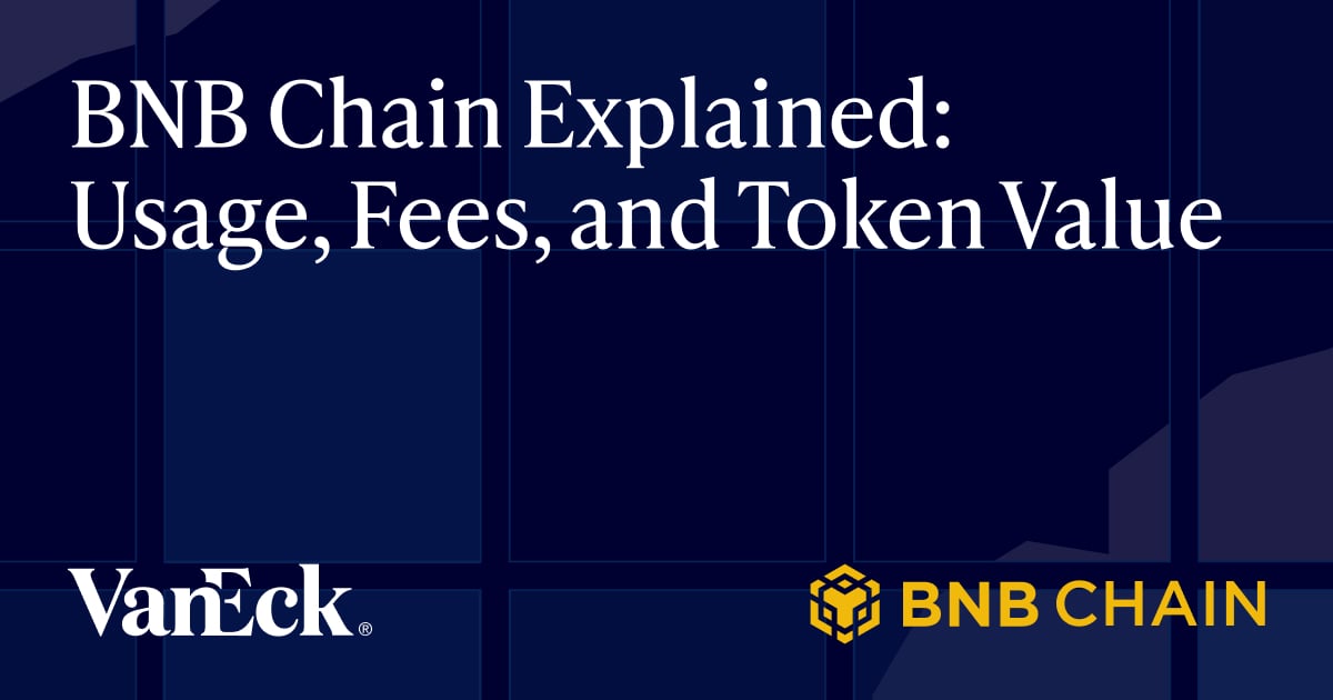 BNB Chain Explained: Usage, Fees, and Token Value