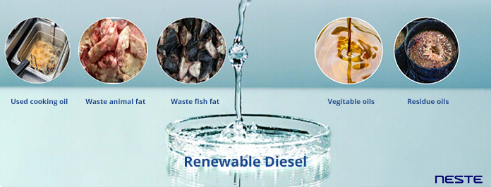 Raw Materials for Renewable Diesel