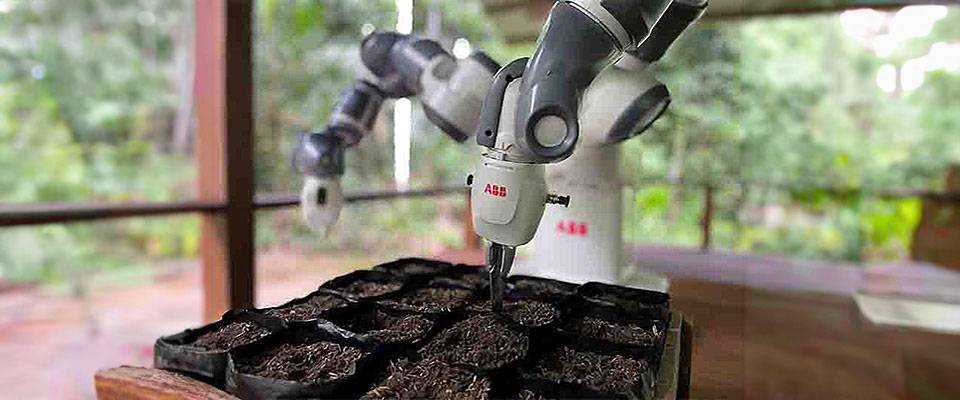Image of ABB YuMi automating seed planting