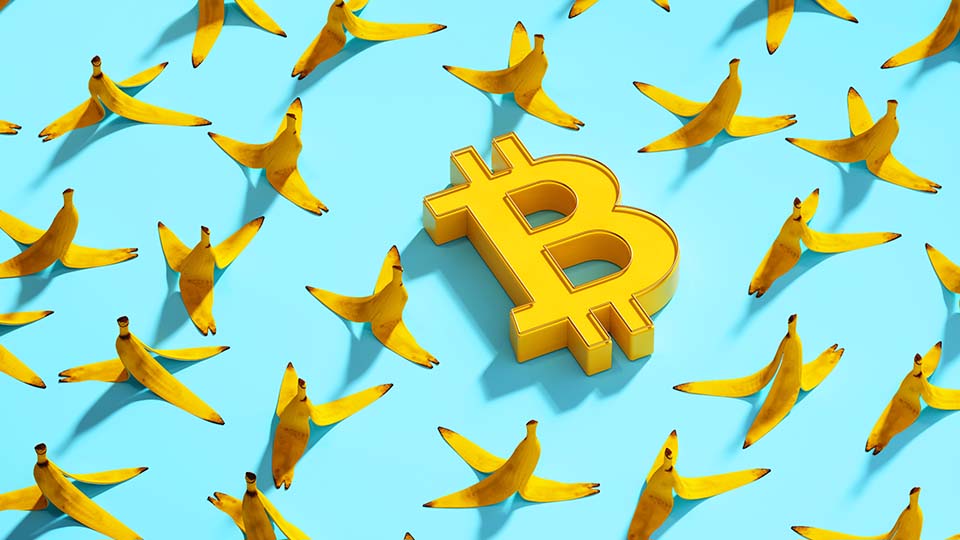 VanEck Mid-November 2025 Bitcoin ChainCheck