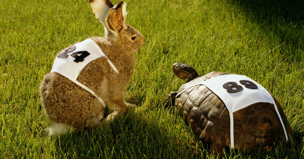 Be a Tortoise, not a Hare